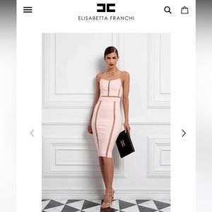 Elisabetta Franchi Sheath dress with tulle transparencies
